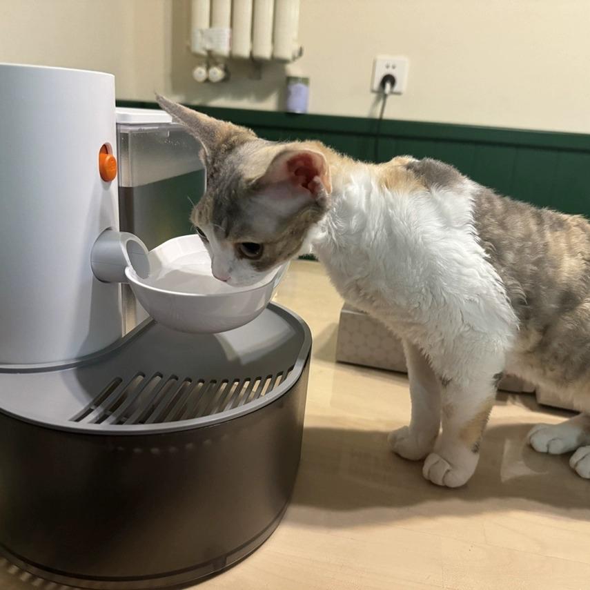 Поилка-фонтан PetGravity автоматическая для кошек и собак 3 л (1124) - фото 13 Поилка-фонтан PetGravity автоматическая для кошек и собак 3 л (1124) - фото 13