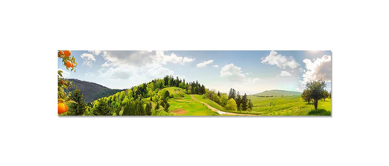 Наклейка виниловая на кухню Zatarga Мандариновая роща 600х2500 мм (1274514112)