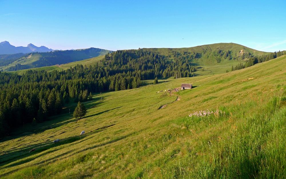 Картина Природа PR053 55х85 см