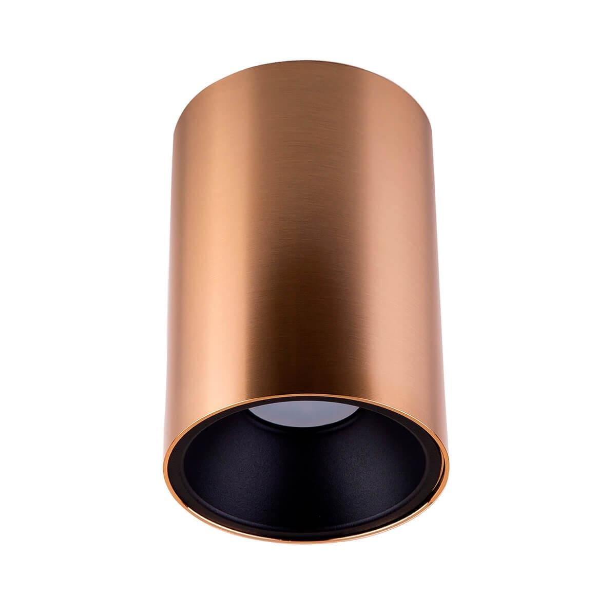 Накладной светильник MJ-Light 8001 G + MJ-3001R BK (9420873)