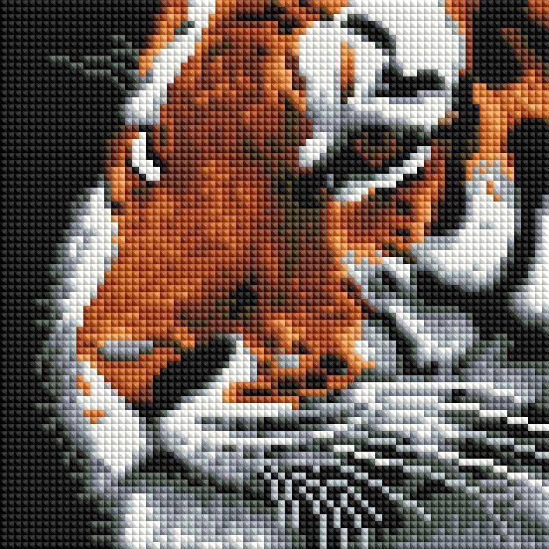 Алмазна мозаїка ColorArt Тигр DD1224 20х20 см