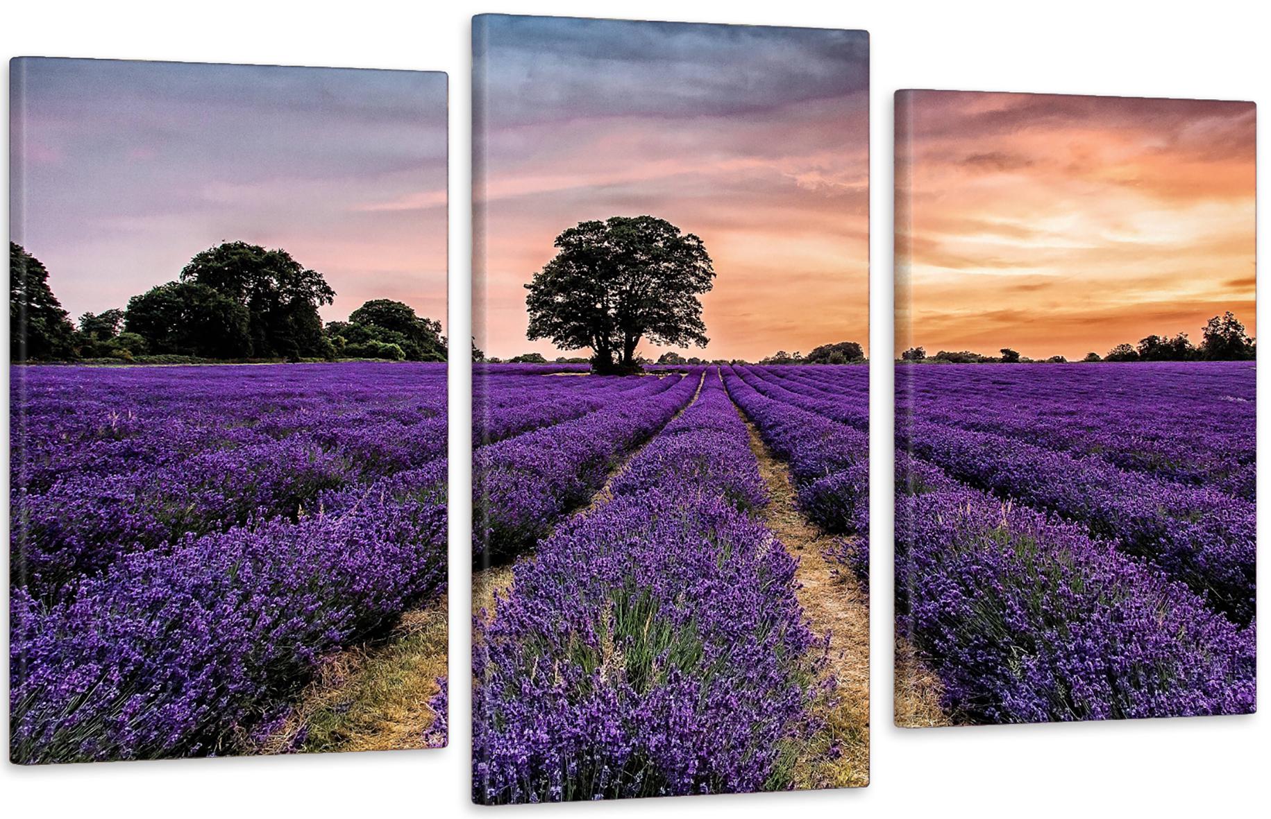 Картина модульная в гостиную/спальню Поле Лаванда 53х100 см (Art-556_3)