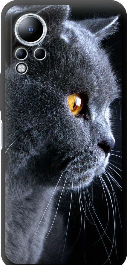 Чехол на Infinix Note 12 Красивый кот (3038b-2927-42517)