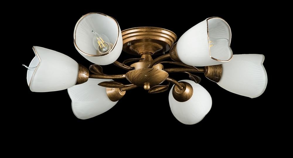 Люстра с плафонами Ray L88497/6 GB (IR006074)