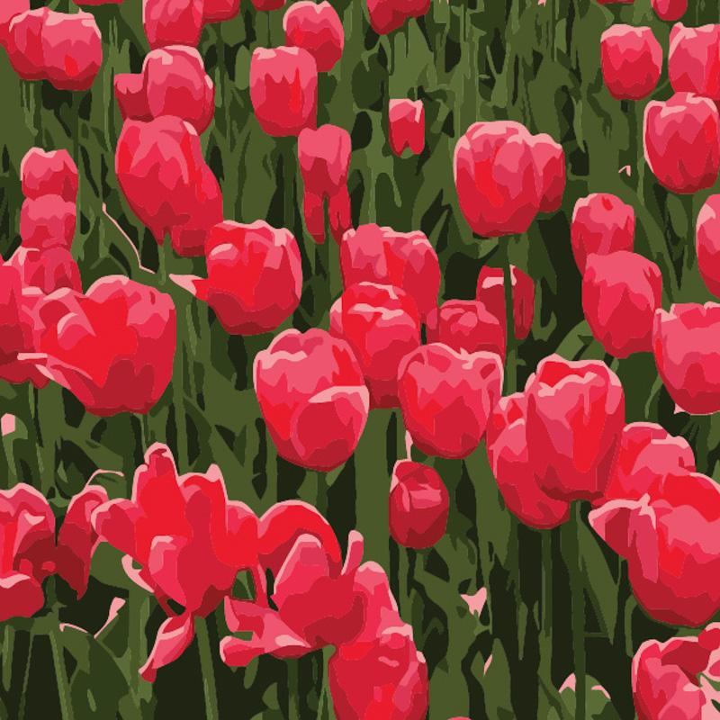 Картина по номерам Strateg Тюльпаны 20х20 см (HH5367)