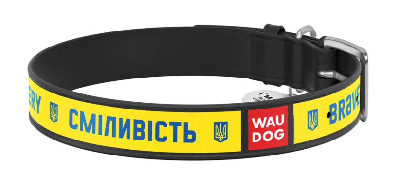 Ошейник для собак кожаный WAUDOG Design с QR паспортом Смелость L Ш 25 мм Дл 38-49 см Черный (Collar3605-0231-01)