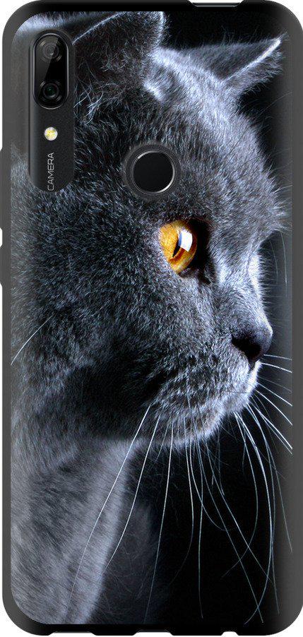 Чехол на Huawei Y9 Prime 2019 Красивый кот (3038b-1736-42517)