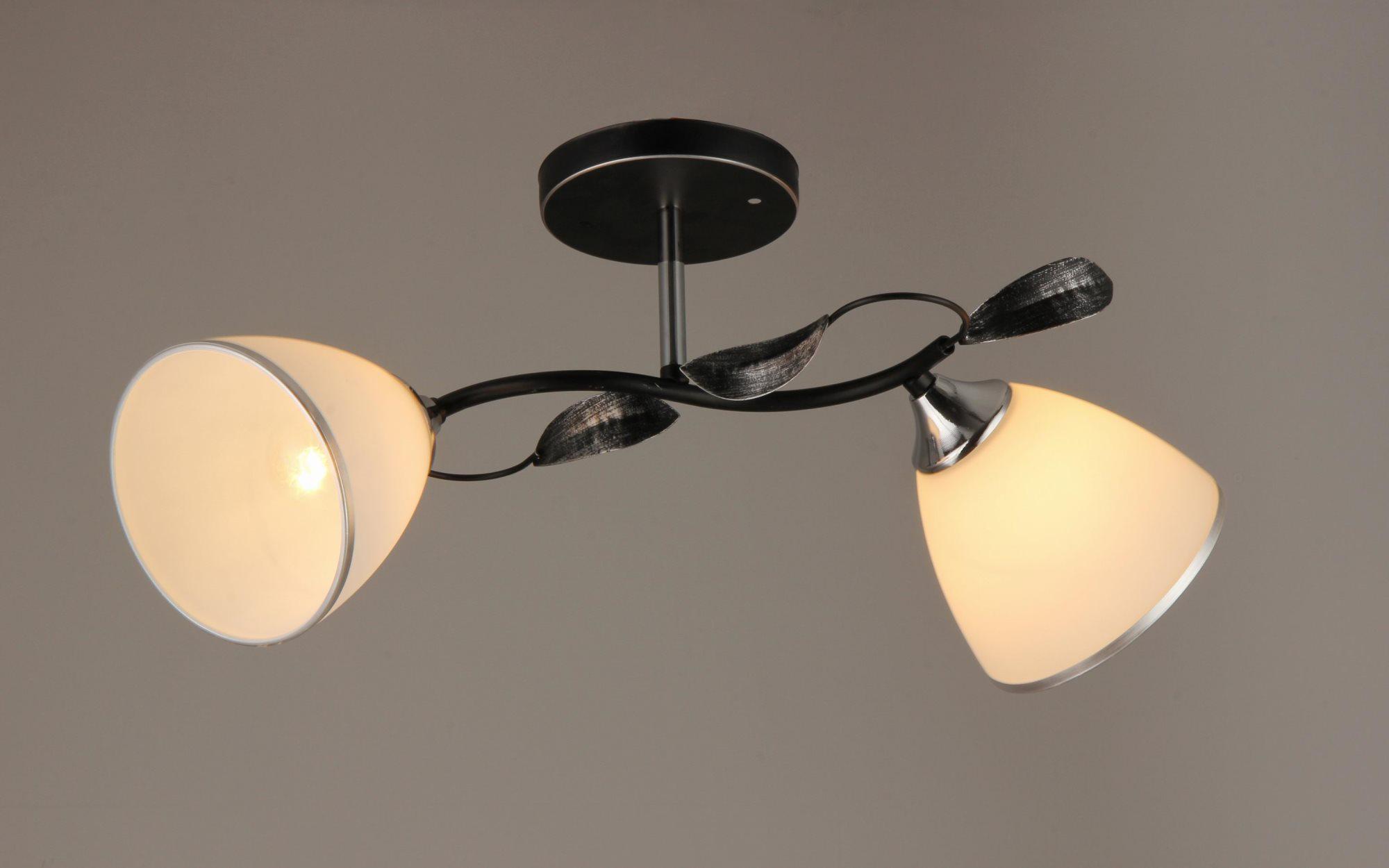 Люстра Sirius B N2709/2 на 2 плафона (000016072)