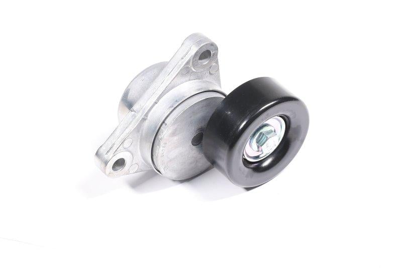 Ролик ремня GM (25184786)