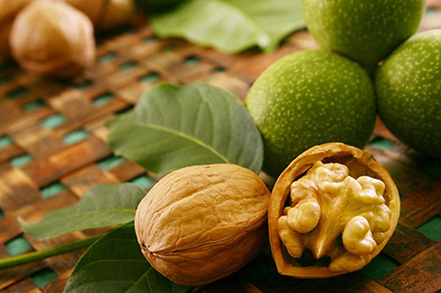 Горіх волоський Juglans regia 1 шт. (38278473)