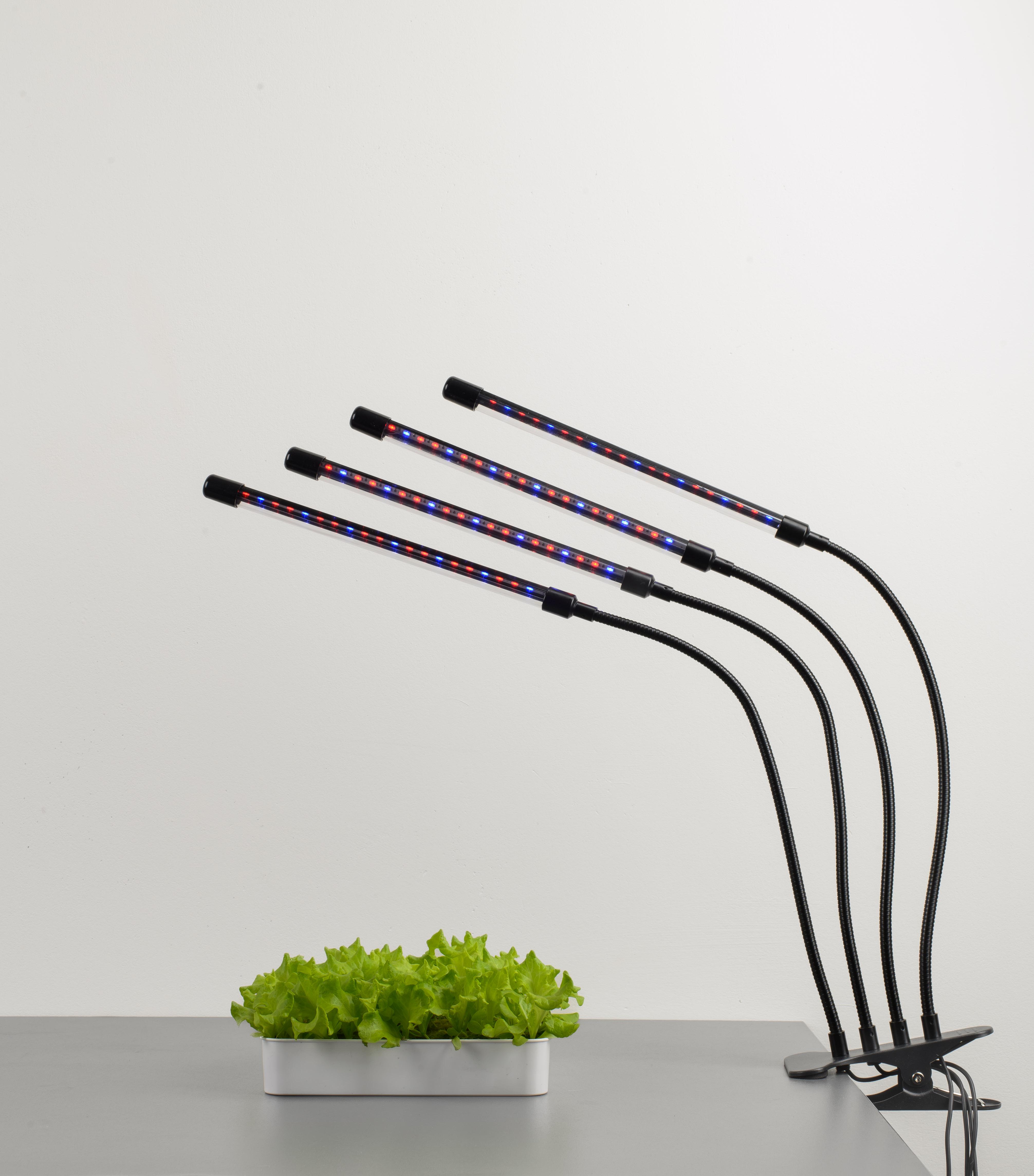 Фитолампа LED Grow Light USB на 4 лампы для растений и рассады светодиодная для роста и цветения