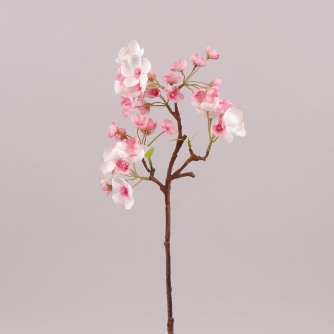 Гілочка Flora Яблуня (72546)