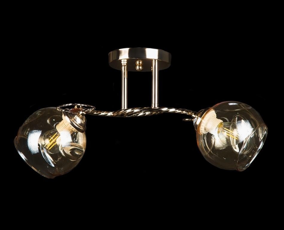 Люстра с плафонами Splendid Ray (L9655A/2 FGD)