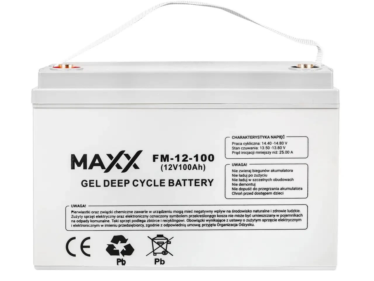 Аккумулятор гелевый для ИБП и инверторов MAXX FM-12-100 12V/100A - фото 3