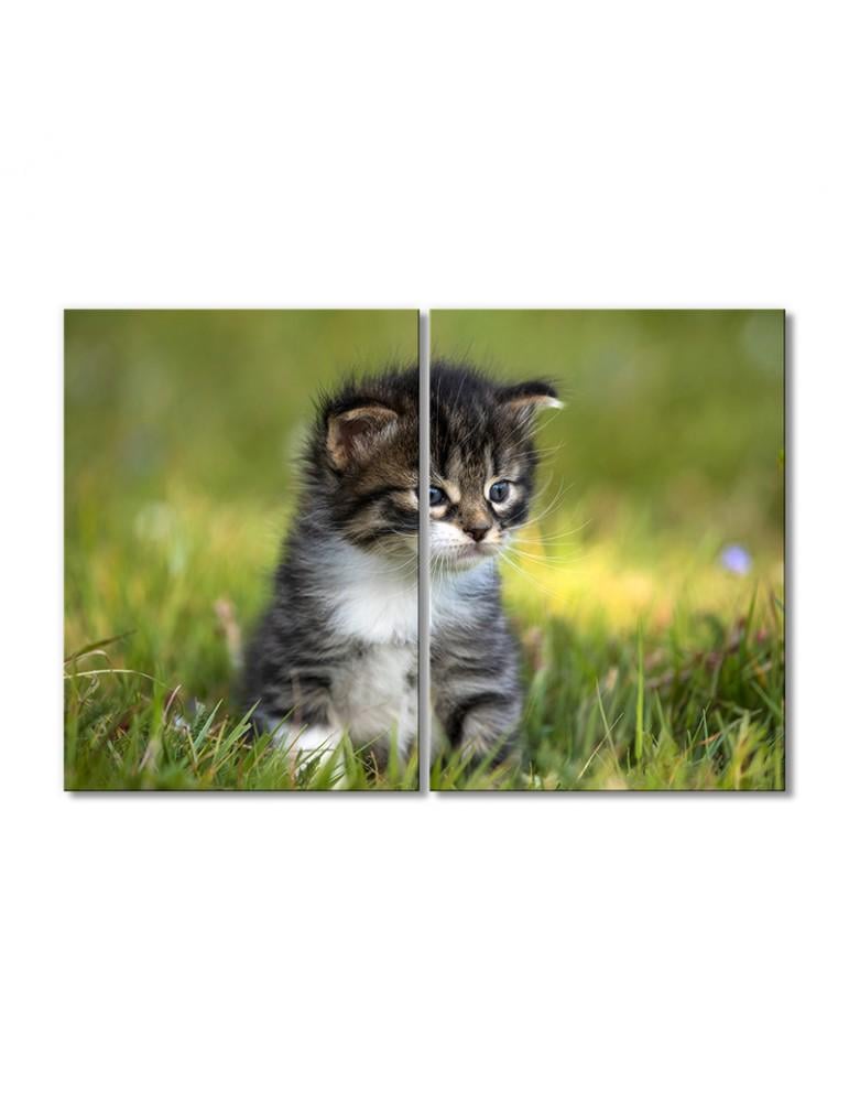 Картина модульная Природа и котенок 2 модуля 30х45 см