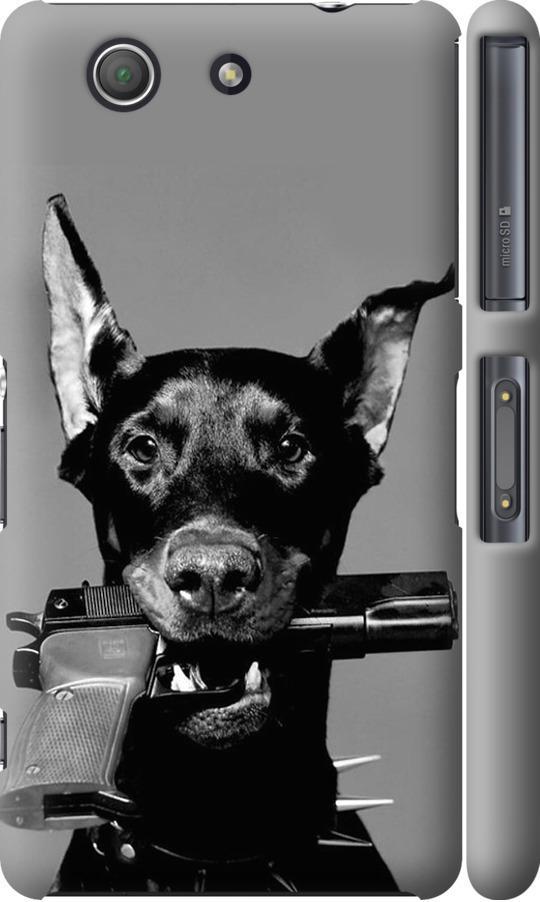 Чехол на Sony Xperia Z3 Compact D5803 Доберман (2745c-277-42517) Чехол на Sony Xperia Z3 Compact D5803 Доберман (2745c-277-42517)