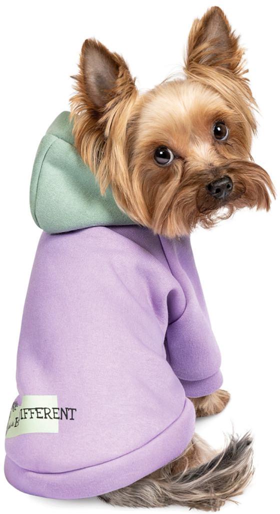 Толстовка для собак Pet Fashion BE DIFFERENT XS-2 (4823082420407)