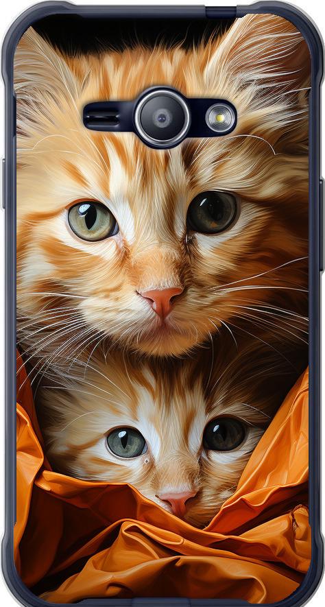 Чехол на Samsung Galaxy J1 Ace J110H Котики 2 (5664t-215-42517)