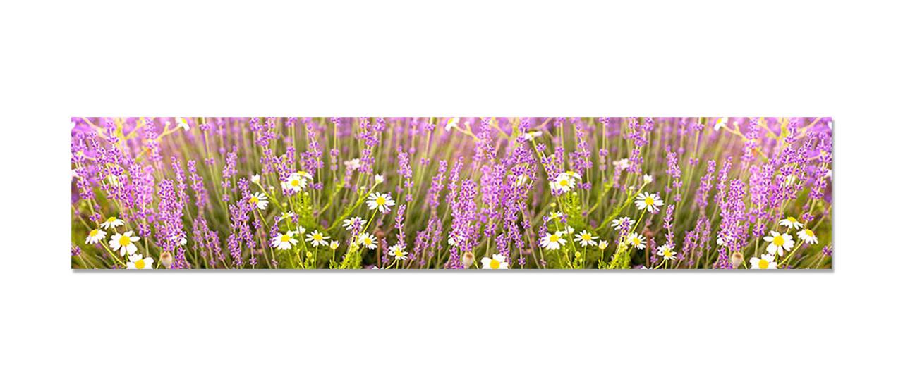 Наліпка вінілова на кухню Zatarga Польові квіти 600х3000 мм (1289776324)