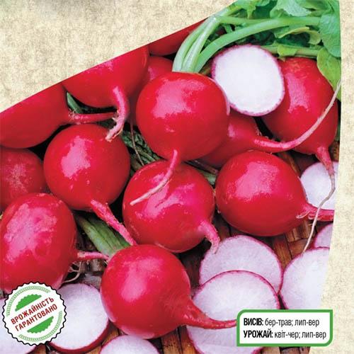 Насіння Редіс Florium Суперстар (15886) - фото 2