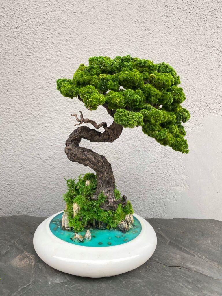 Композиция Magic Gardens Бонсай со стабилизированными растениями 30 см (12517)