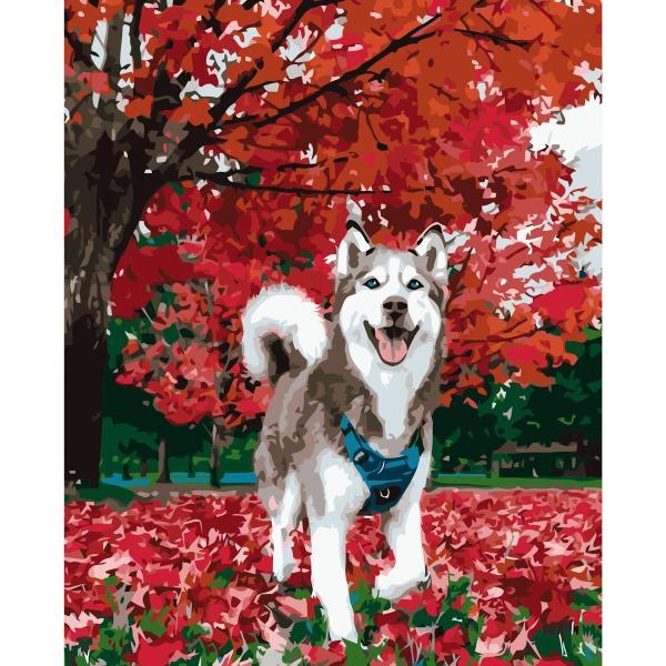 Картина за номерами Strateg Тварини Хаскі восени 40х50 см в термопакеті (VA-1147-mt) Картина за номерами Strateg Тварини Хаскі восени 40х50 см в термопакеті (VA-1147-mt)