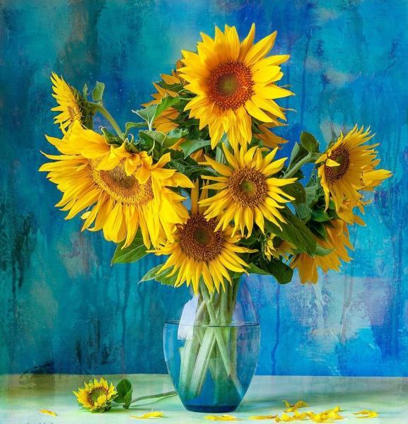 Картина по номерам Идейка Любимые подсолнухи 40х40 см в термопакете (КНО3206-mt)