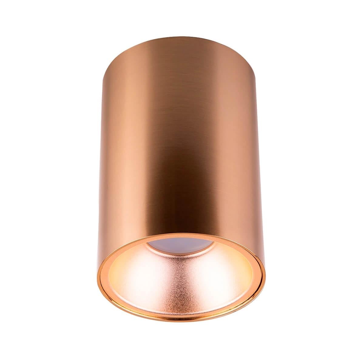 Накладной светильник MJ-Light 8001 G + MJ-3001R CG (9420830)