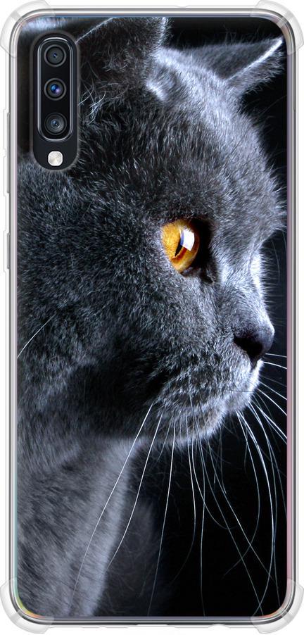 Чехол на Samsung Galaxy A70 2019 A705F Красивый кот (3038sp-1675-42517)