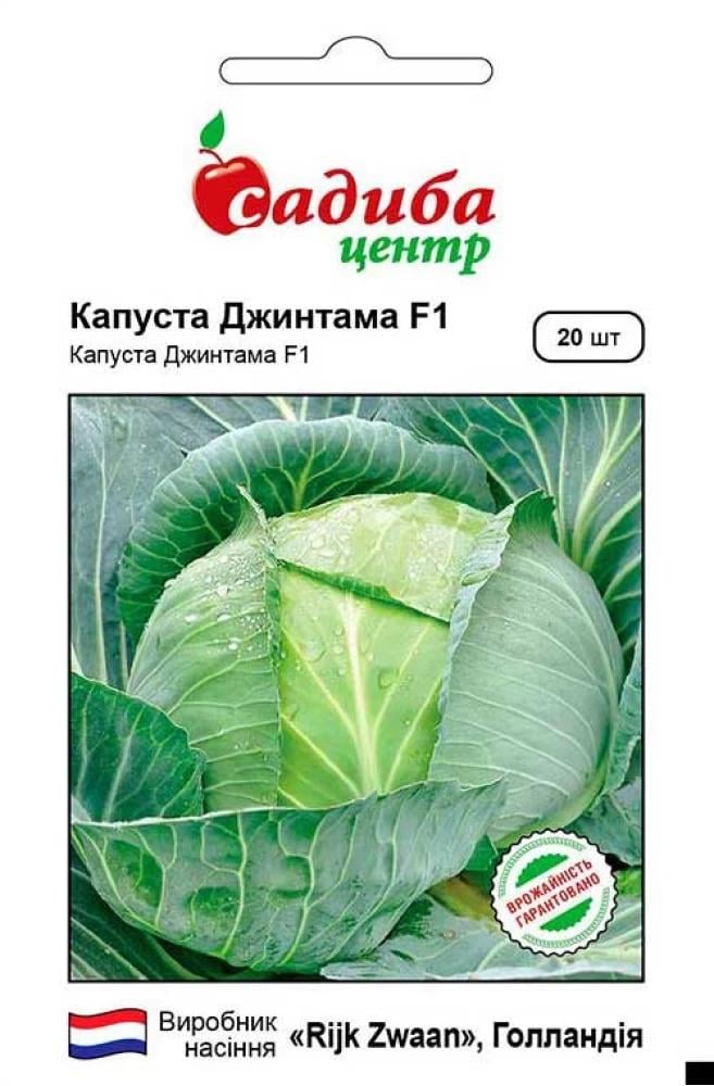 Насіння капусти білоголової СЦ Джинтама F1 20 шт. (1796)