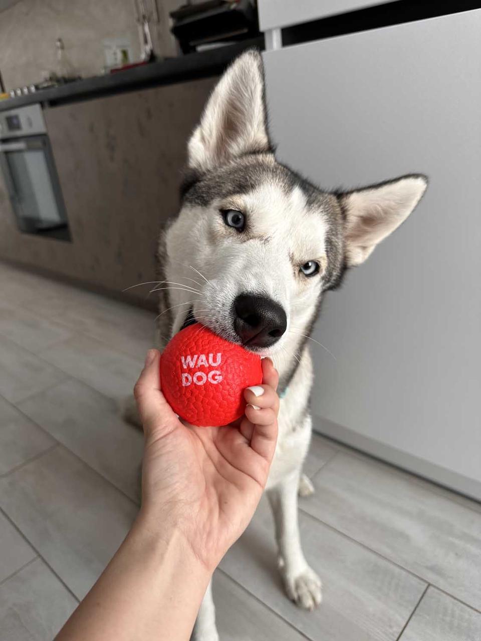 Іграшка для собак Waudog Fun Red Ball (6001) - фото 7 Іграшка для собак Waudog Fun Red Ball (6001) - фото 7