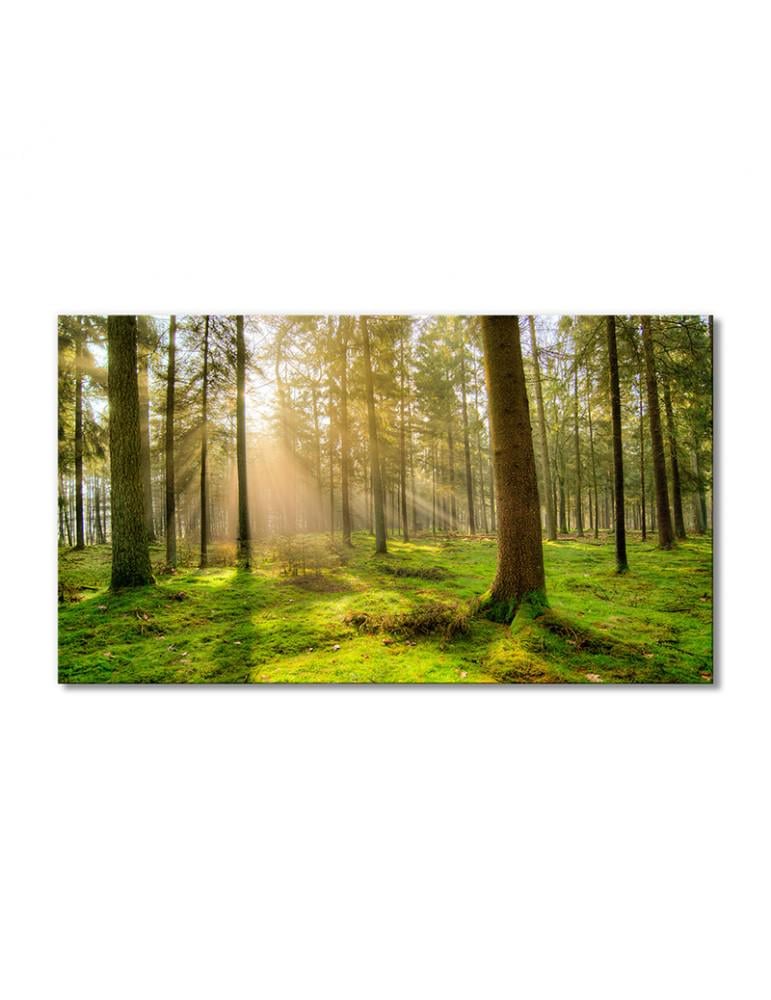 Картина модульная Солнечный луч деревья в лесу 1 модуль 70x105 см (134813Pejzazh0002)