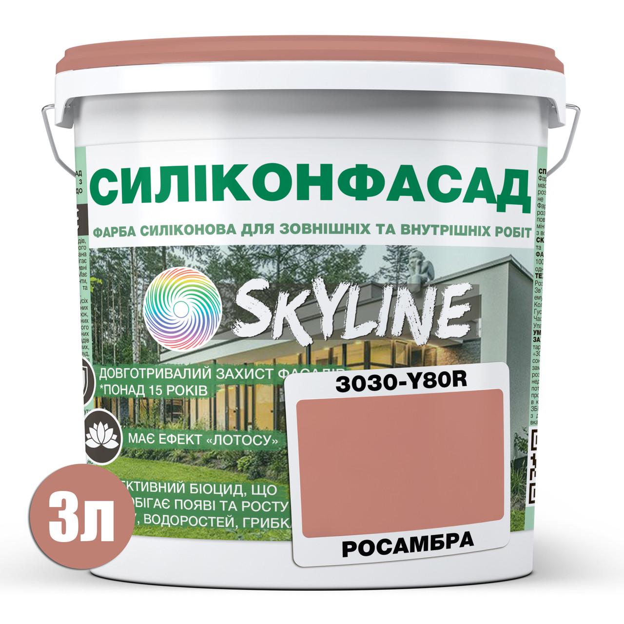 Краска фасадная SkyLine 3030-Y80R Силиконфасад 3 л Росамбра (2595725024) - фото 2 Краска фасадная SkyLine 3030-Y80R Силиконфасад 3 л Росамбра (2595725024) - фото 2