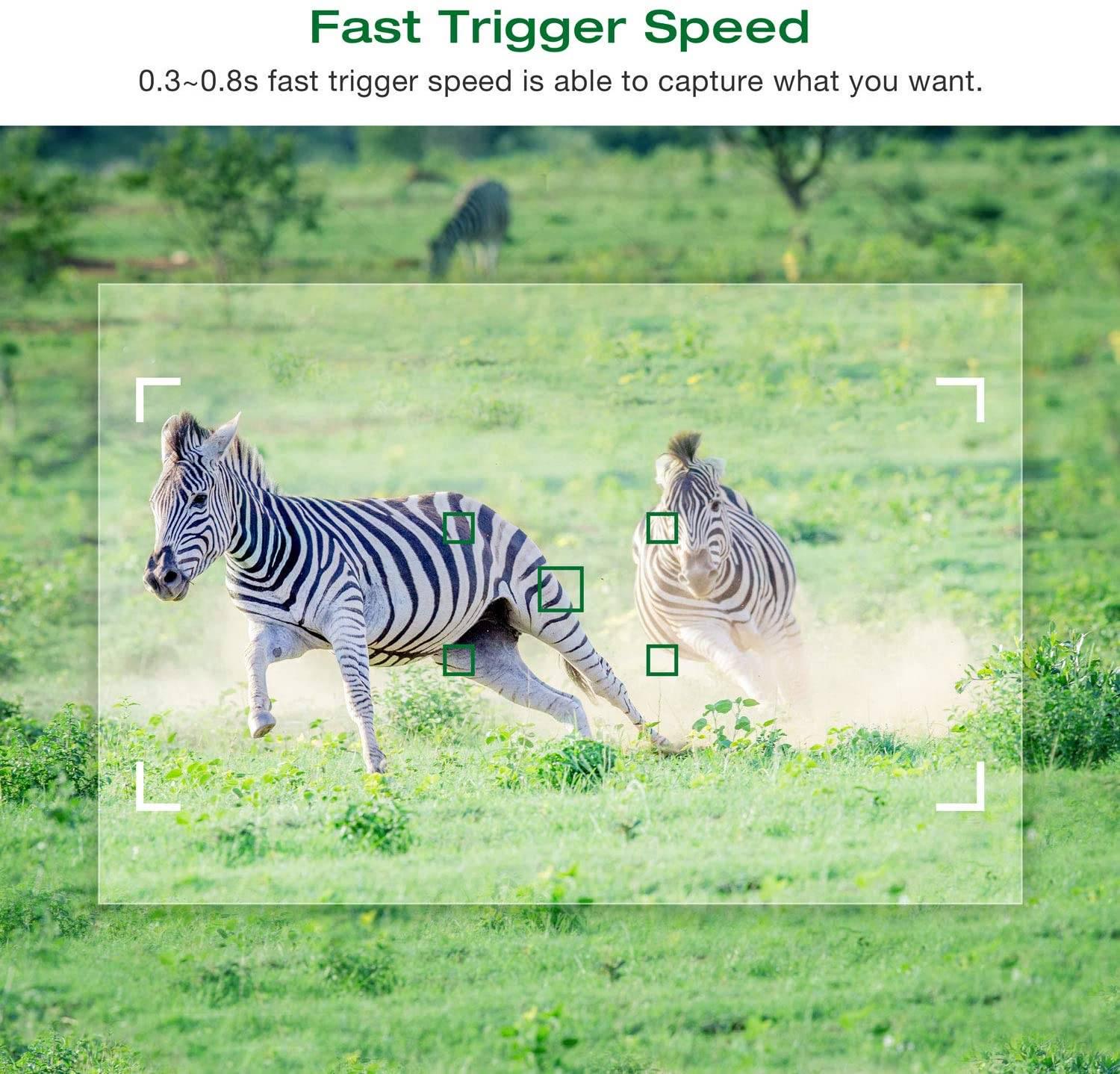 Фотопастка Suntek MINI600 12 Мп міні камера (1012) - фото 5 Фотопастка Suntek MINI600 12 Мп міні камера (1012) - фото 5