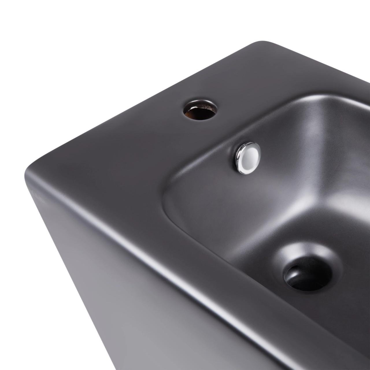 Унитаз напольный Robin Ultra Quiet QT13226083AMB 660x360x855 мм Black/биде напольный Robin QT13442141CMB 565x360x405 мм Black (2608671890) - фото 7 Унитаз напольный Robin Ultra Quiet QT13226083AMB 660x360x855 мм Black/биде напольный Robin QT13442141CMB 565x360x405 мм Black (2608671890) - фото 7