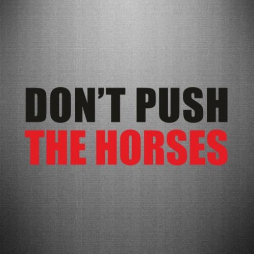 Наклейка Don’t push the horses 45x17,4 см (27806163)