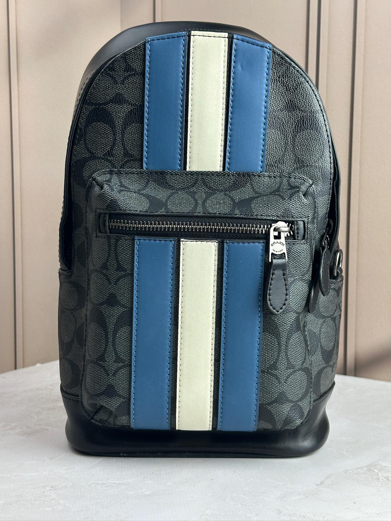 Сумка через плече шкіряна Coach West 20 смугаста на блискавці