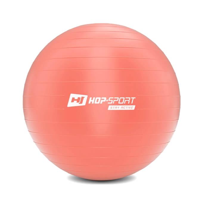 Фитбол + насос Hop-Sport 55 см 2020 Розовый