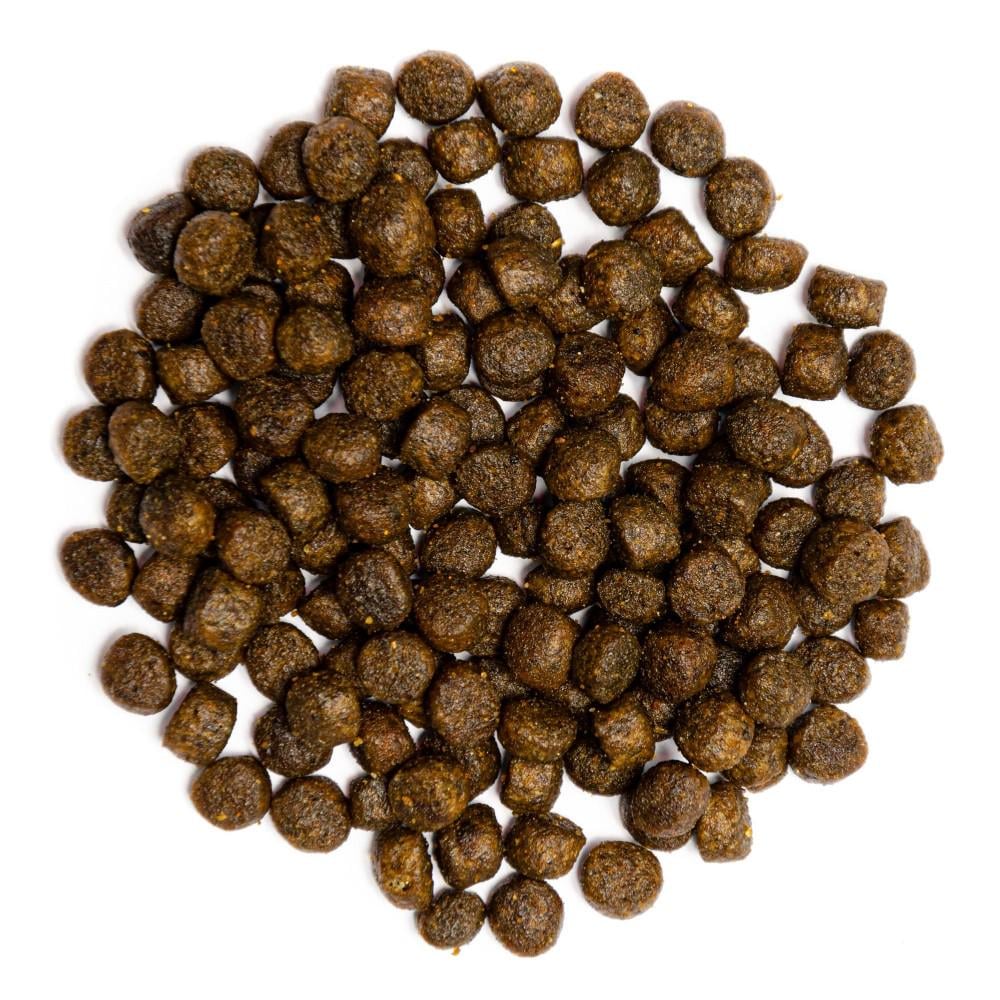 Корм для котів Profine Cat Kitten для кошенят з куркою та рисом 2 кг (170560/7640) - фото 2