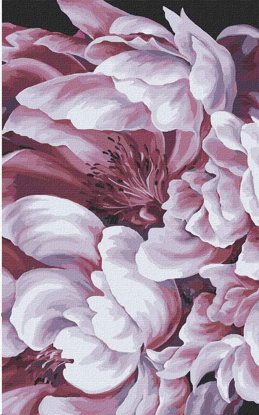 Картина по номерам Идейка Магия пионов 3 25x40 см (KHO3137)
