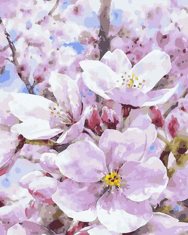 Картина по номерам Brushme Цветущая яблоня 40x50 см (BRM44459)