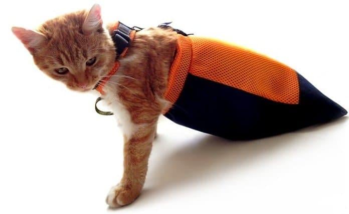 Повзунки Frakishtak для тварин М Червоний/Чорний (28109429)