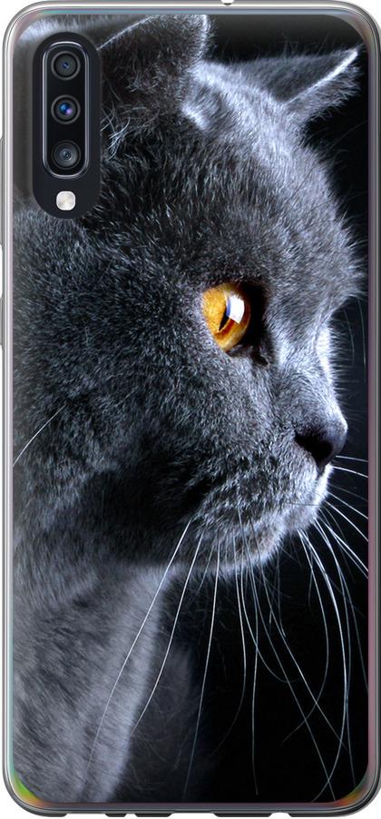 Чехол на Samsung Galaxy A70 2019 A705F Красивый кот (3038t-1675-42517)