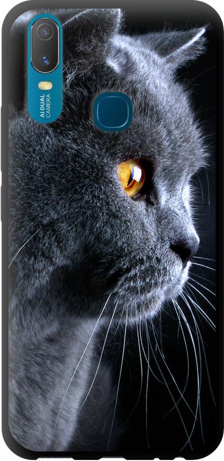 Чехол на Vivo Y11 Красивый кот (3038b-629-42517)