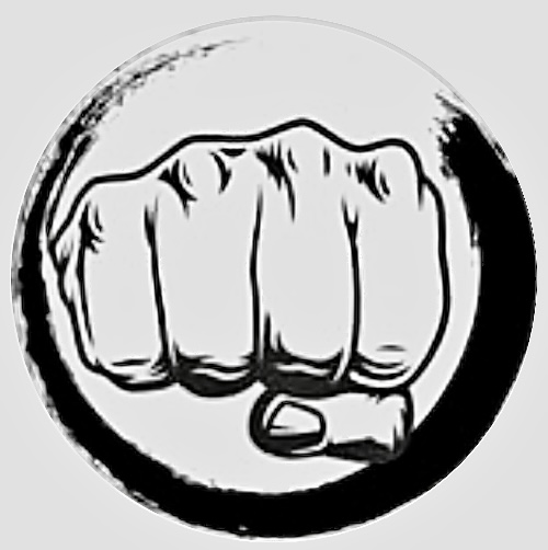 fightball.box