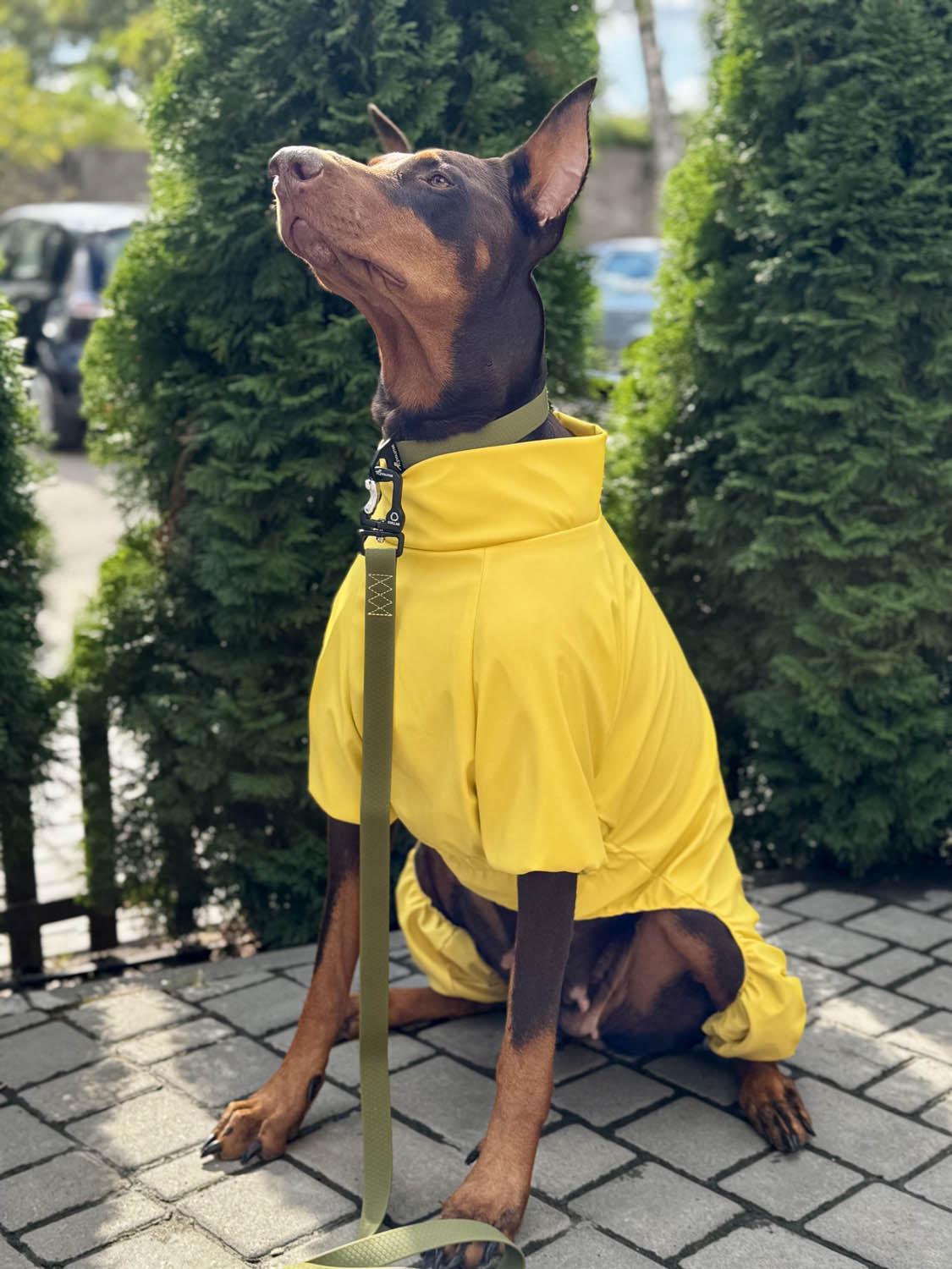 Дощовик для собак Waudog Clothes водонепроникний L55 Жовтий (19918) - фото 8 Дощовик для собак Waudog Clothes водонепроникний L55 Жовтий (19918) - фото 8