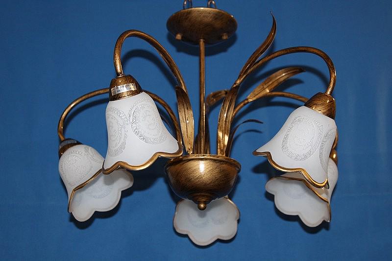 Люстра с плафонами Ray L10029/5 (IR005884)