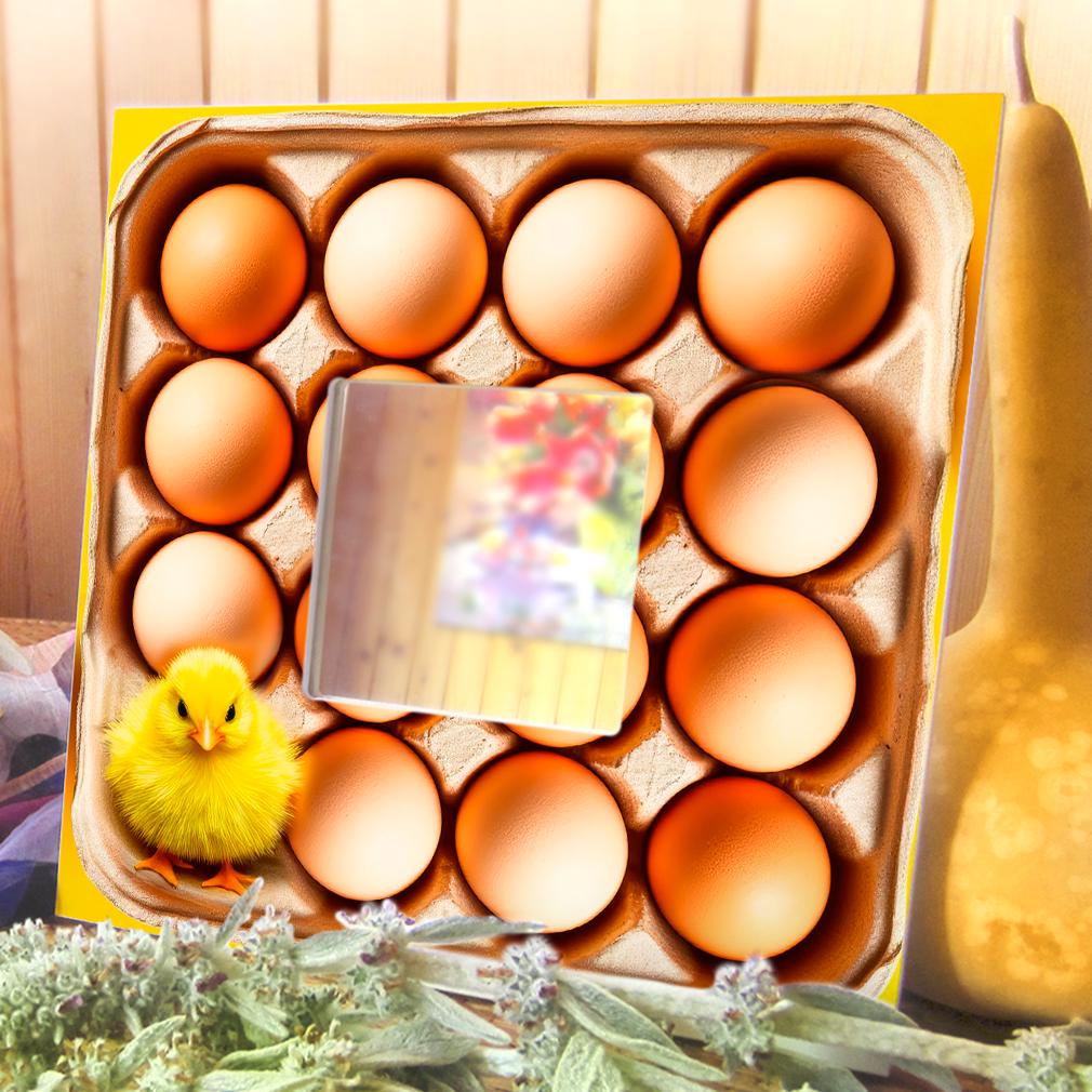 Зеркало декоративное Яйца и ципленок 260х260 мм (M04651) - фото 3 Зеркало декоративное Яйца и ципленок 260х260 мм (M04651) - фото 3