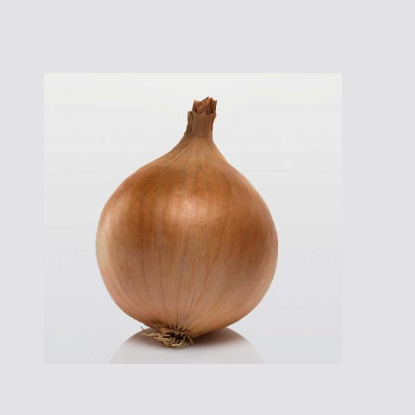 Цибуля сівок BroerB.V. Бога Ф1 100 г (1820492413)