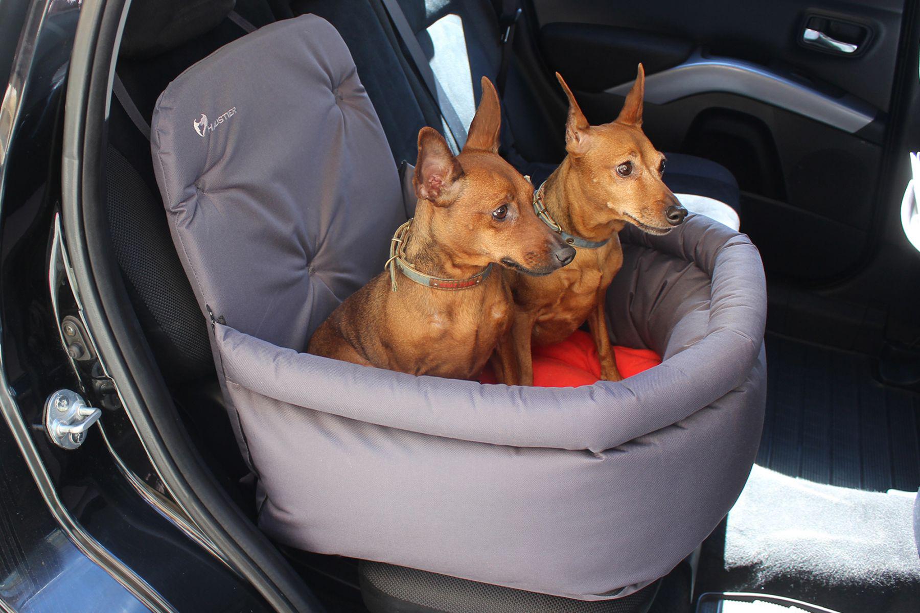 Автокрісло для Собак Haustier Happy Travel Gray S 40x40x20x45см (HT2-1-023) Автокрісло для Собак Haustier Happy Travel Gray S 40x40x20x45см (HT2-1-023)